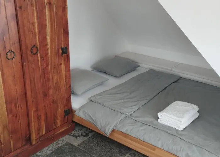 Attic Apartment Catnip