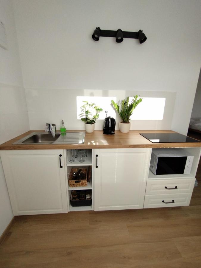 Apartament Attic Catnip Bratysława