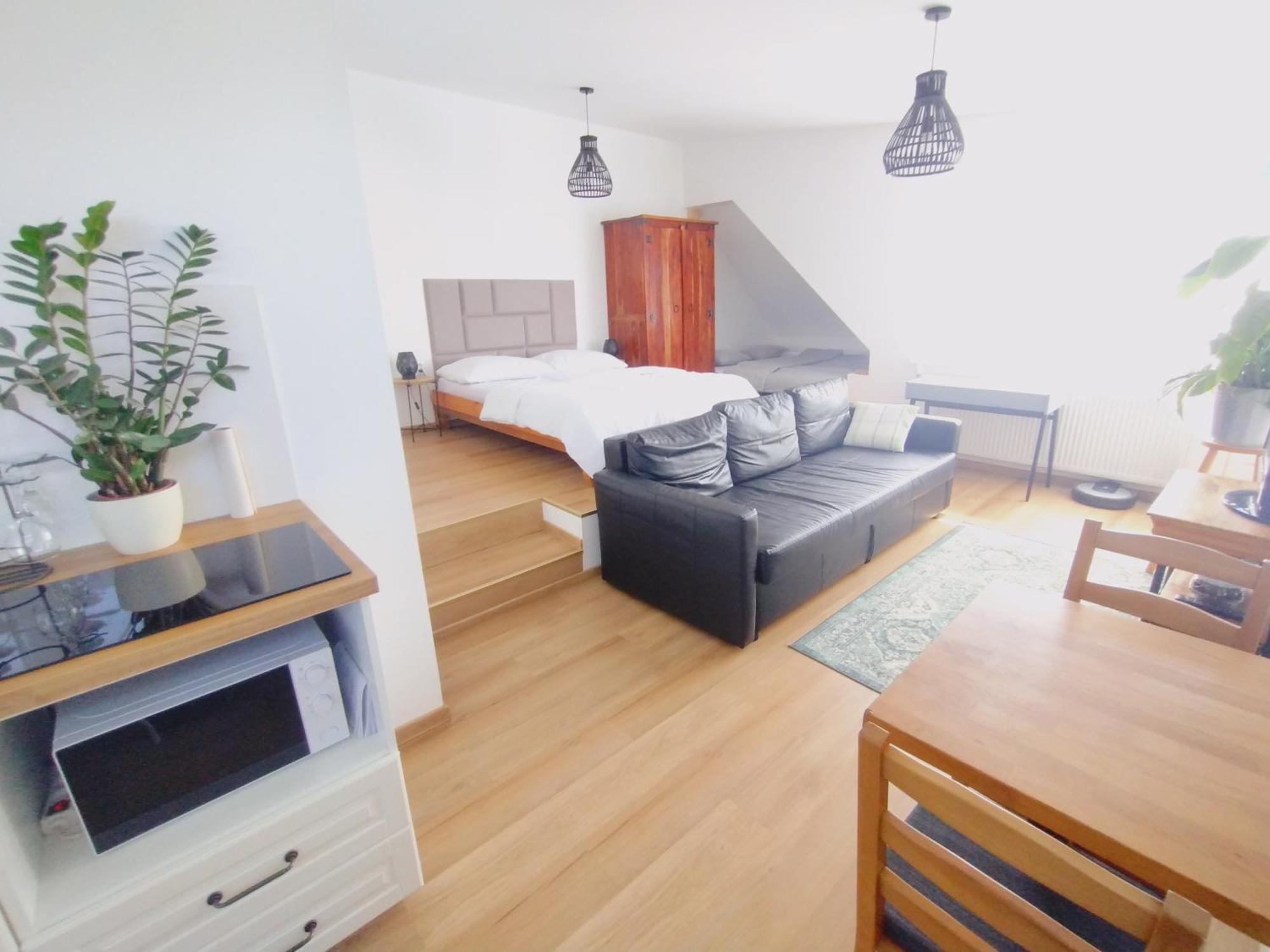 Apartament Attic Catnip